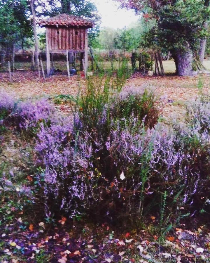 Les Hotes Des Guillemets Laglorieuse Luaran gambar