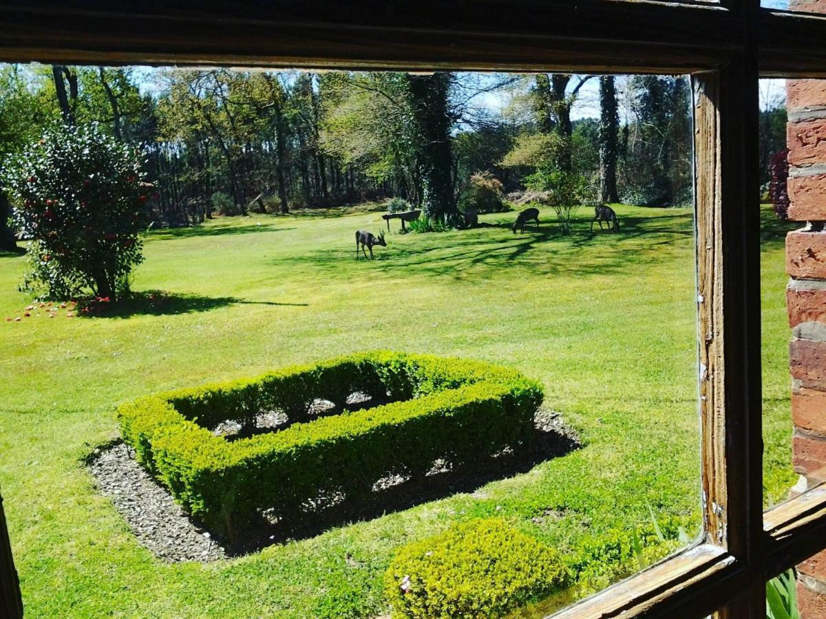 Les Hotes Des Guillemets Laglorieuse Luaran gambar